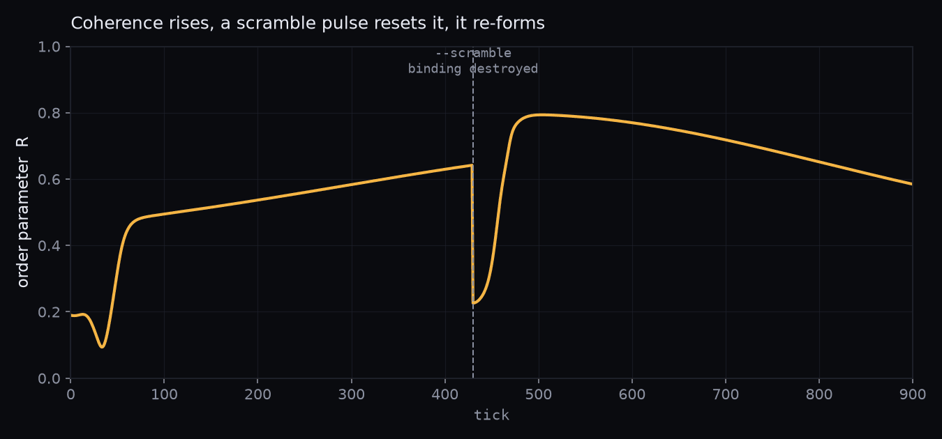 Order parameter over time